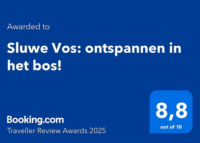 Sluwe Vos: Ontspannen In Het Bos!