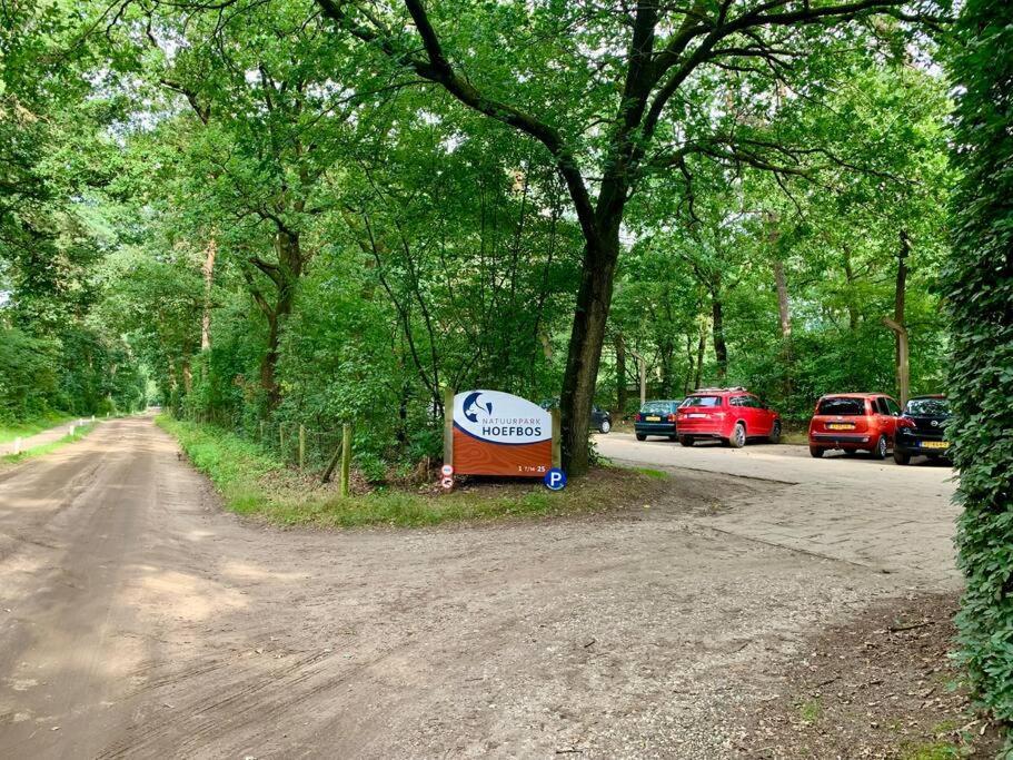 Sluwe Vos: Ontspannen In Het Bos! *