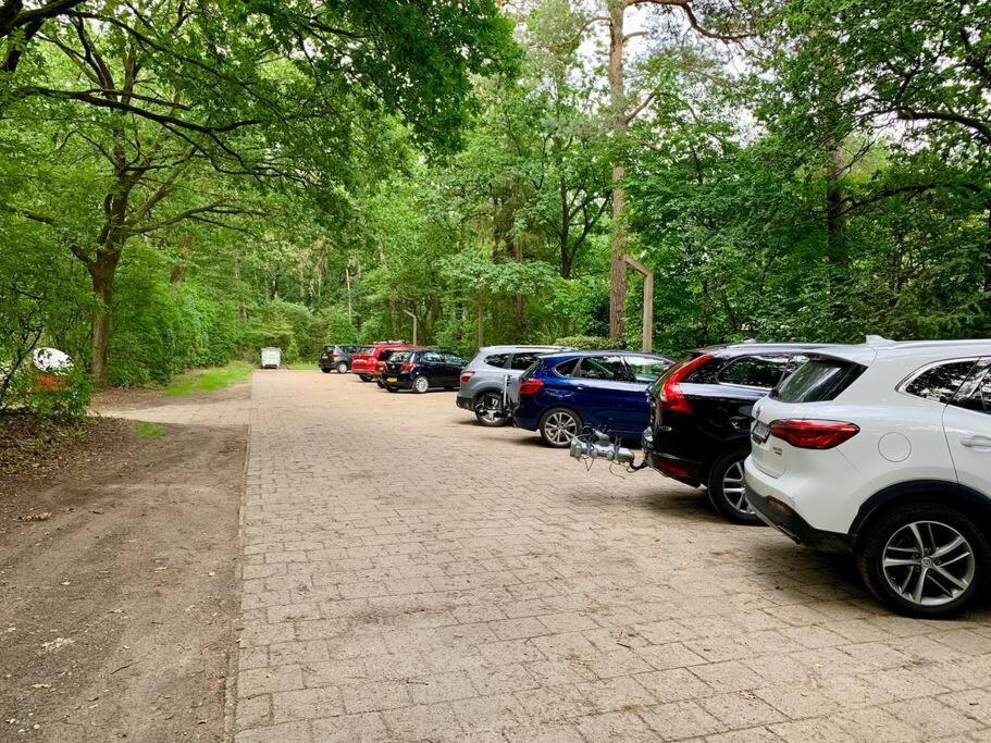 Sluwe Vos: Ontspannen In Het Bos! Holiday home *