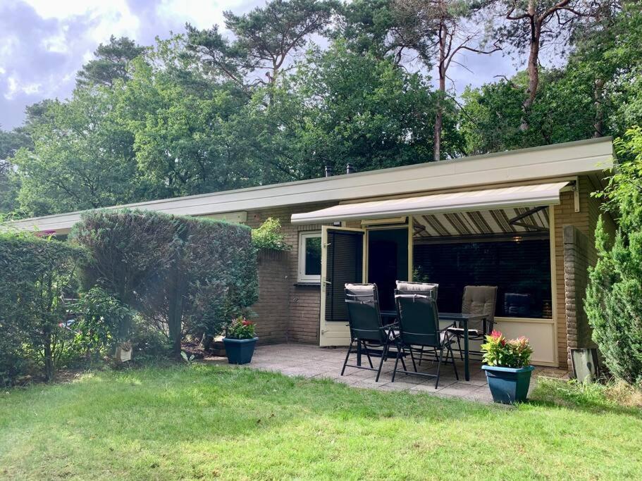 Sluwe Vos: Ontspannen In Het Bos! *
