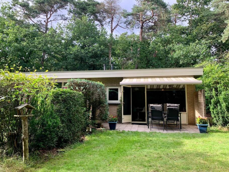 Sluwe Vos: Ontspannen In Het Bos! *