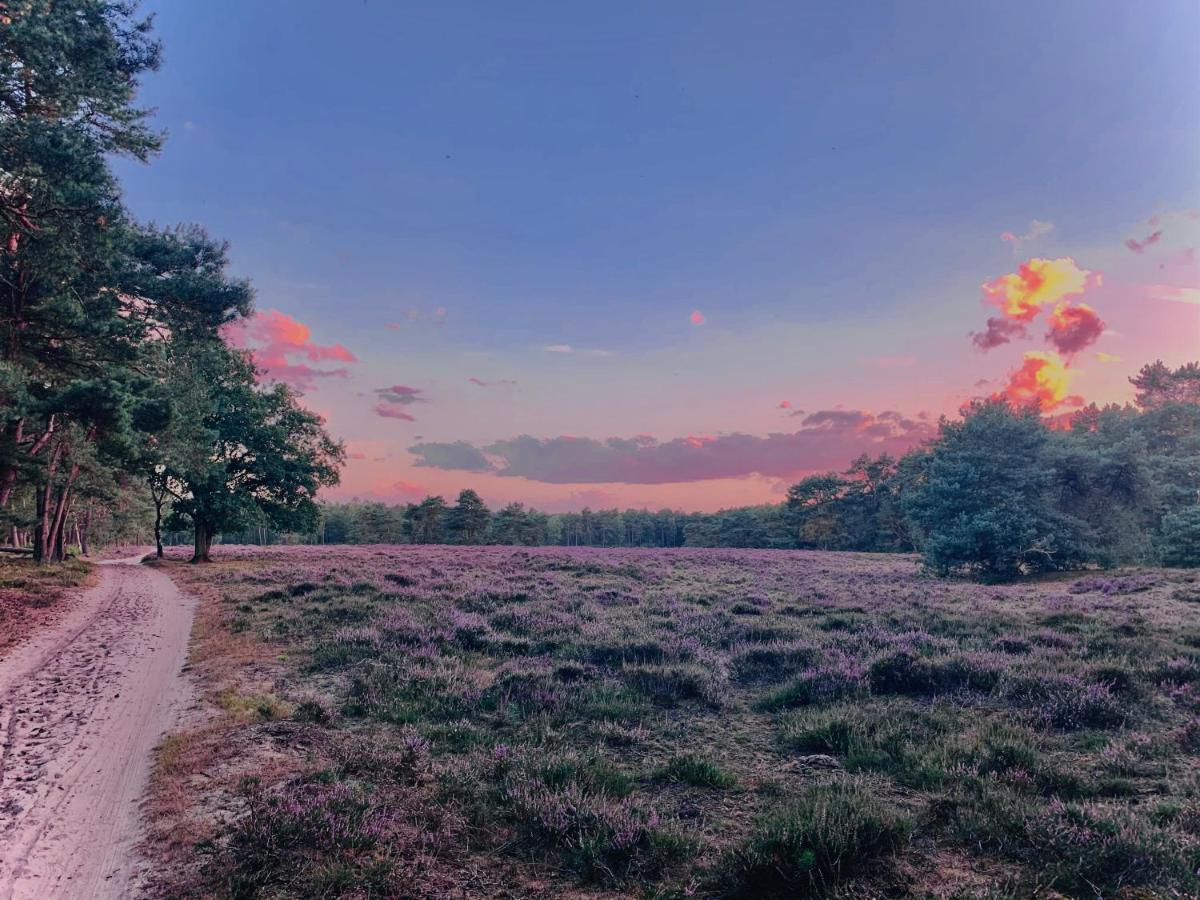Sluwe Vos: Ontspannen In Het Bos! Holiday home