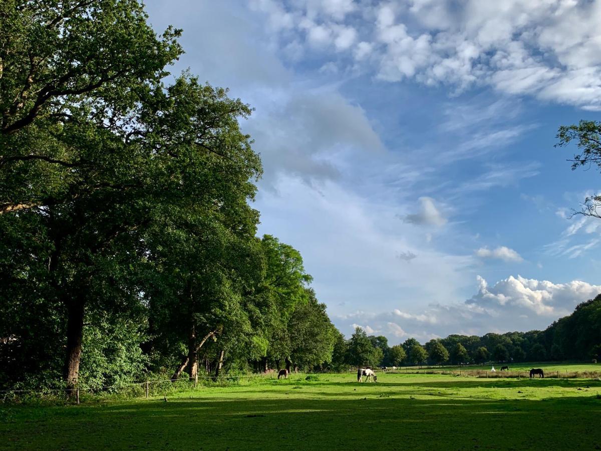 Sluwe Vos: Ontspannen In Het Bos! Holiday home *