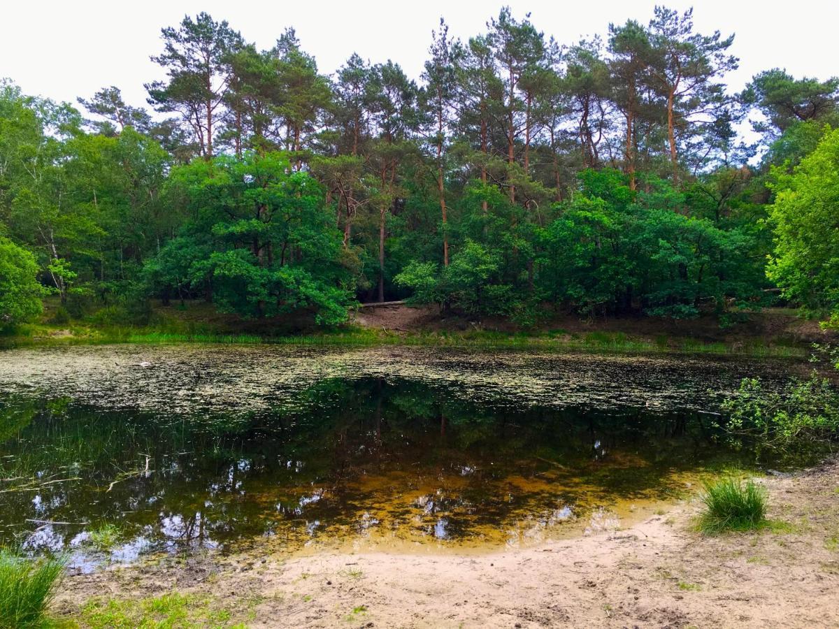 Holiday home Sluwe Vos: Ontspannen In Het Bos!